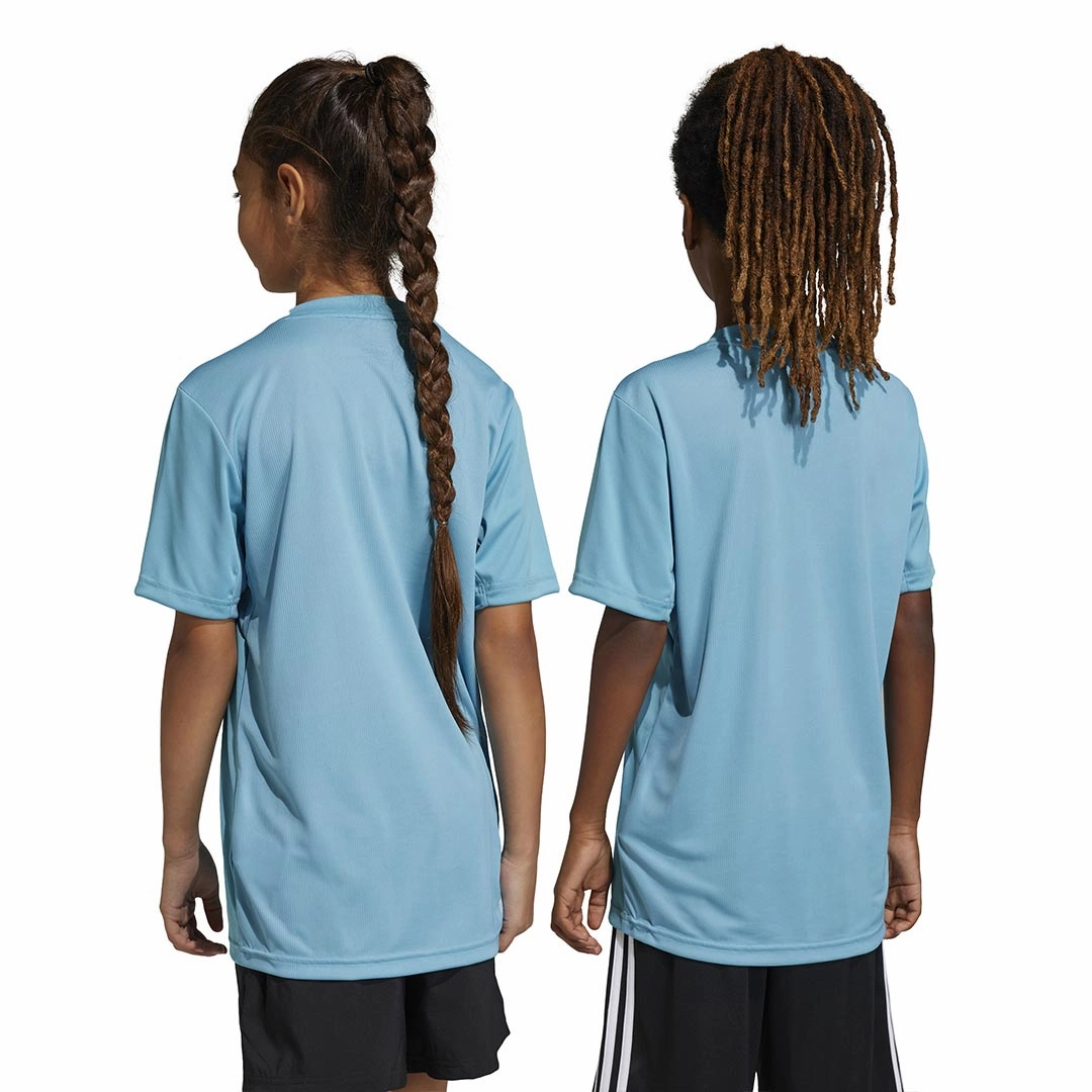 adidas - Kids' (Junior) Train Essentials Aeroready Logo T-Shirt (IC5661)