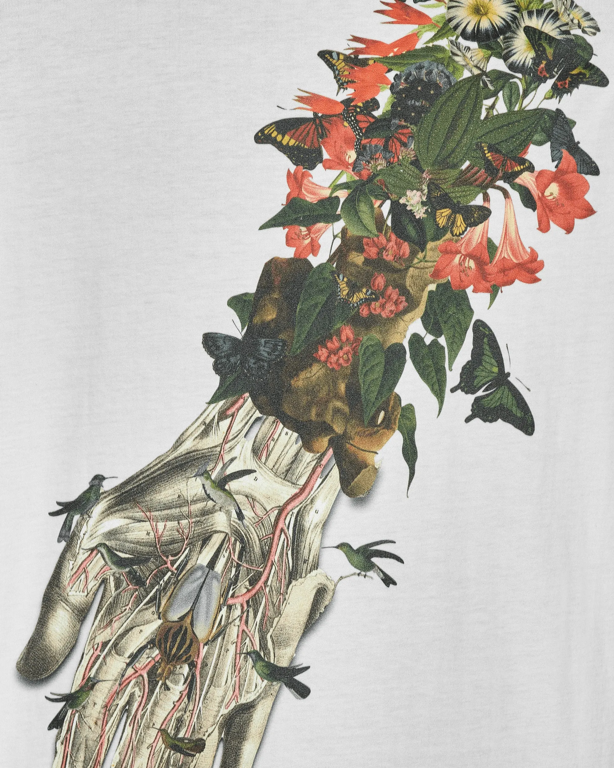 Bedelgeuse Graphic T-Shirt Weiß