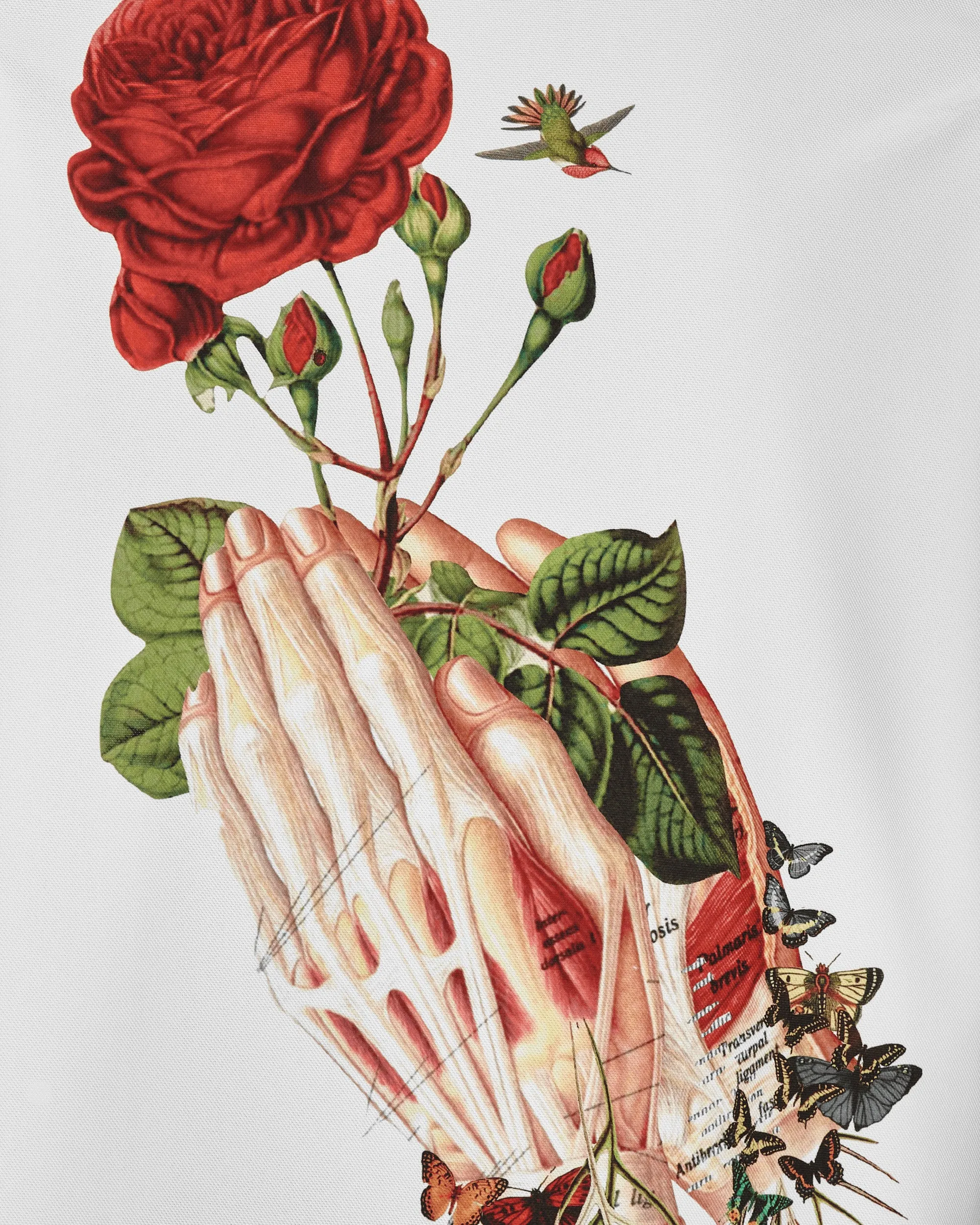 Bedelgeuse Graphic T-Shirt Weiß