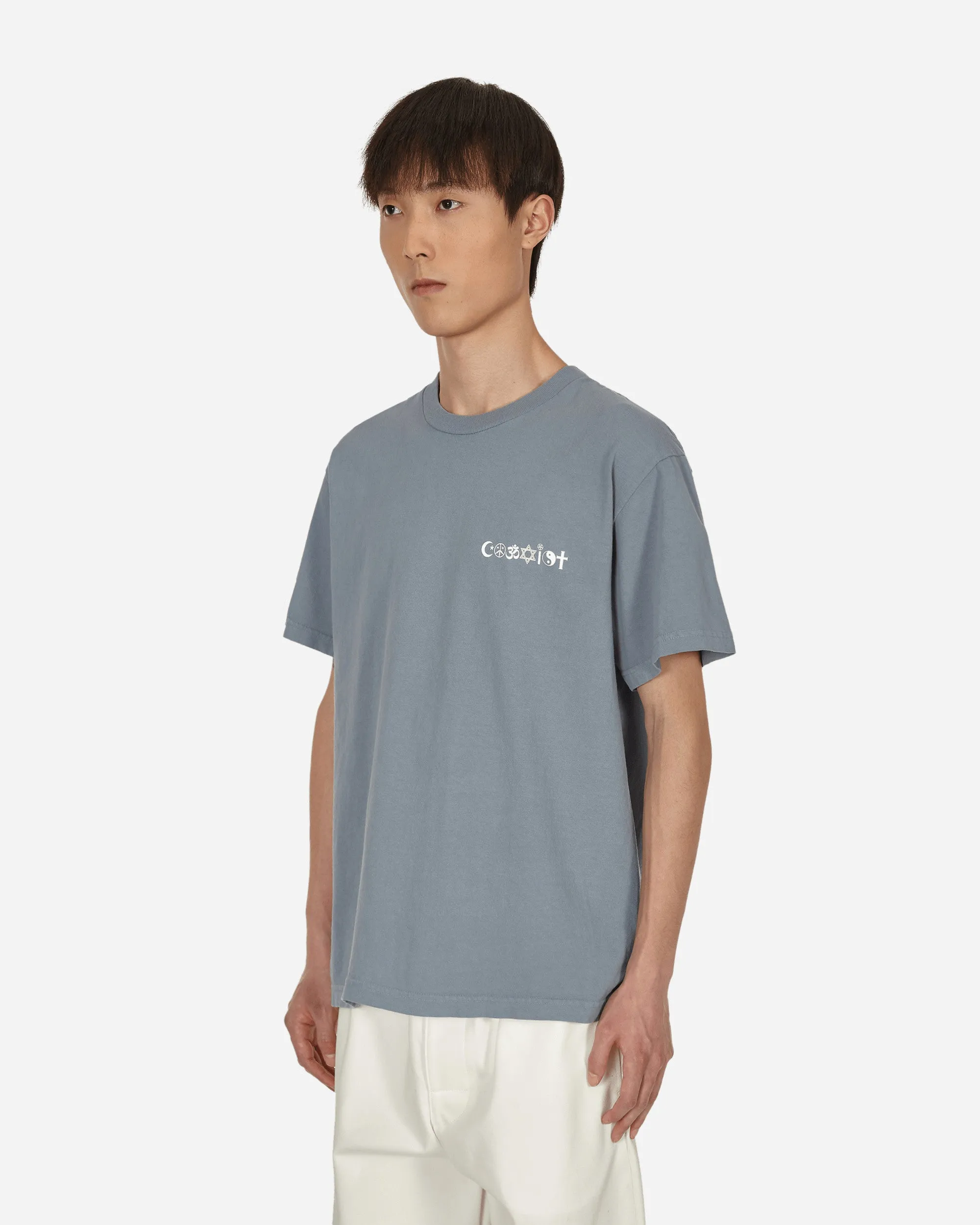 Coexist V2 T-Shirt Lila