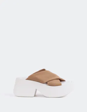 Colibri Kamel Lycra
