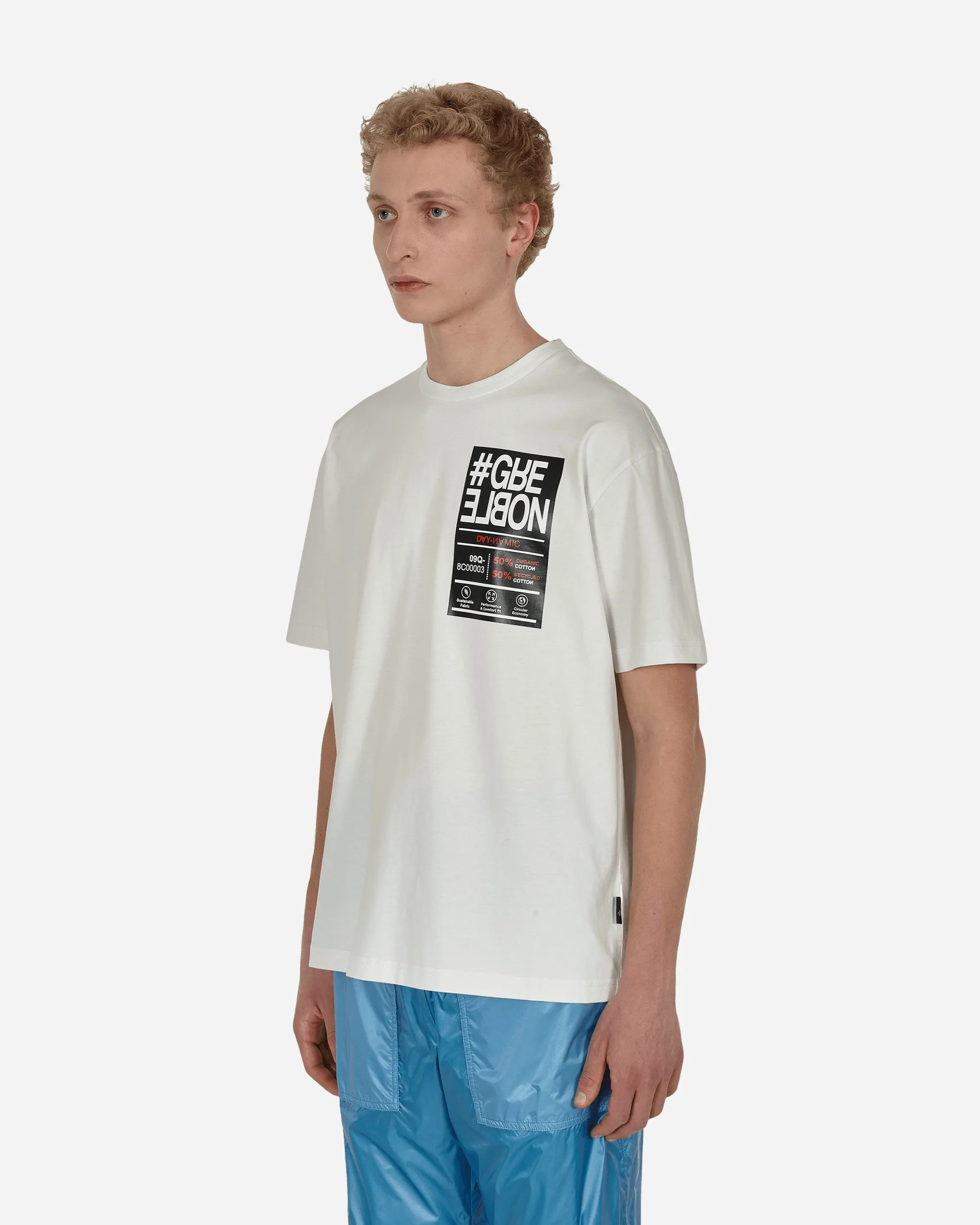 Day-Namic Logo T-Shirt Grau