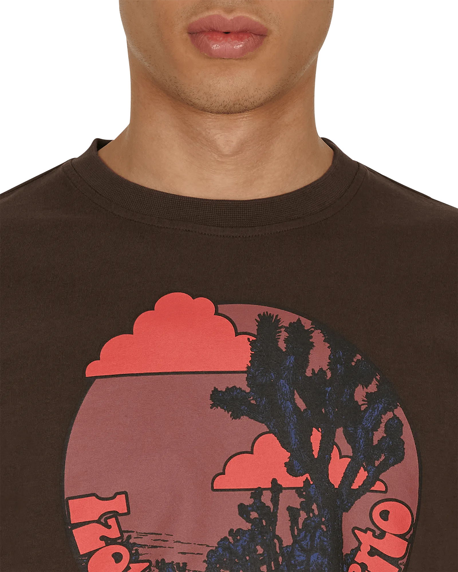 Desert Dagger T-Shirt Braun
