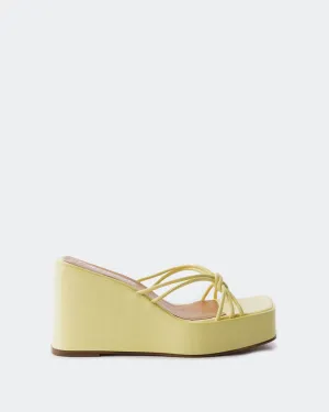 Harmonia Gelbes Leder