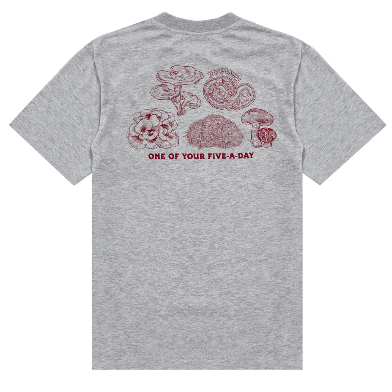 Hikerdelic 5 am Tag SS T-Shirt Grau Melange