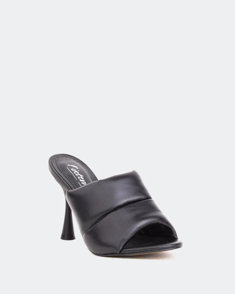 Saftiges Schwarzes Leder