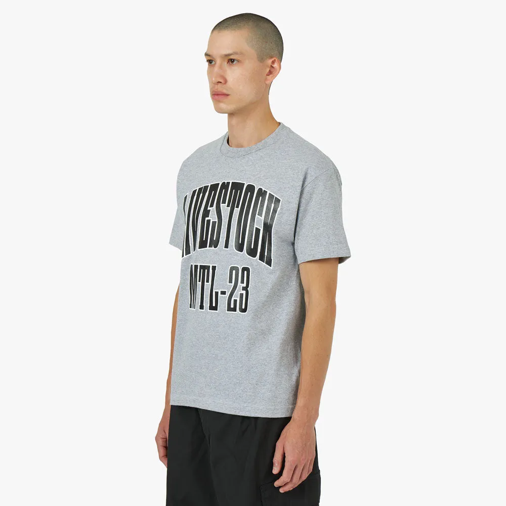 Livestock City T-Shirt Montreal / Grau