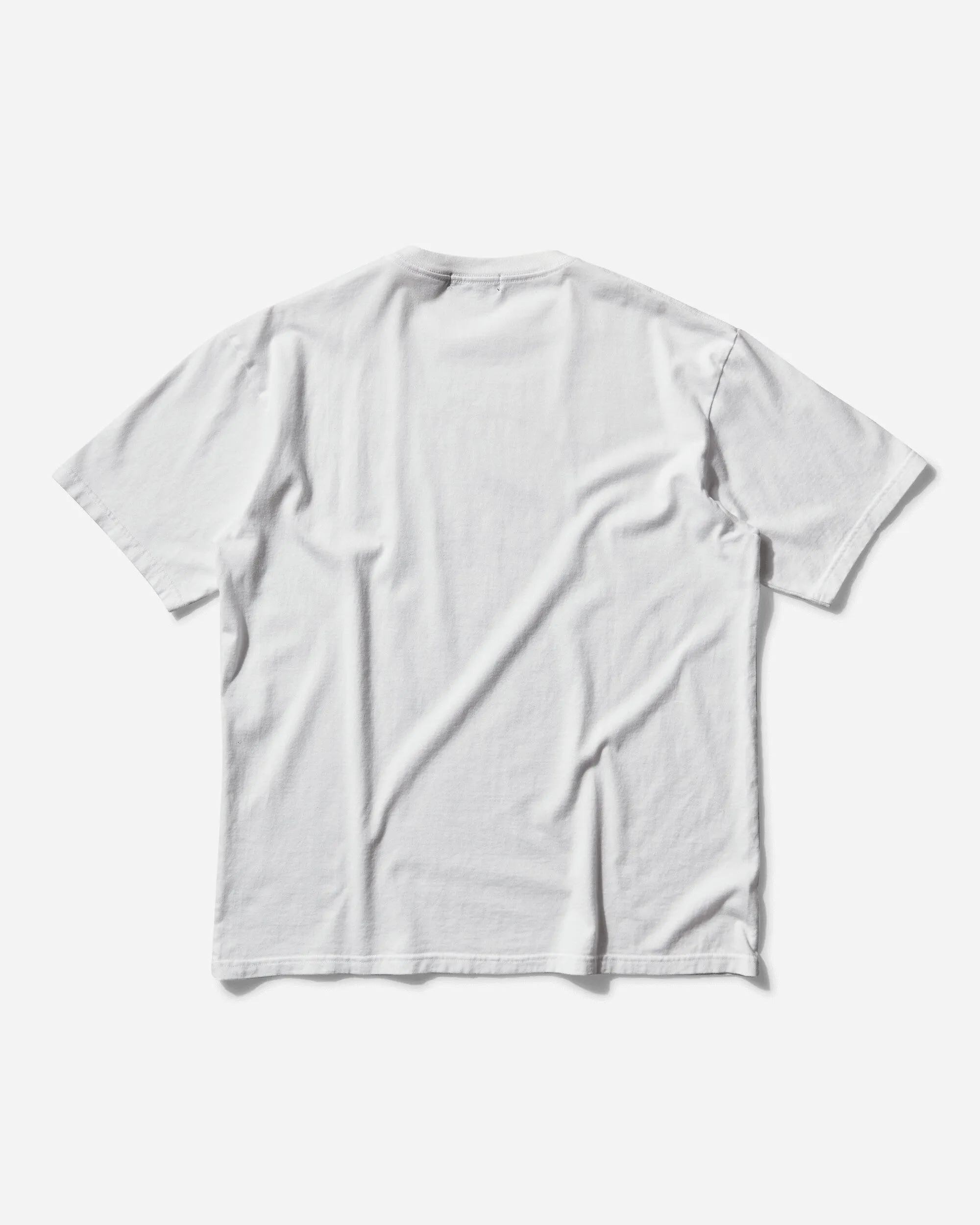 Herren Signature Teddy-Bär T-Shirt Weiß
