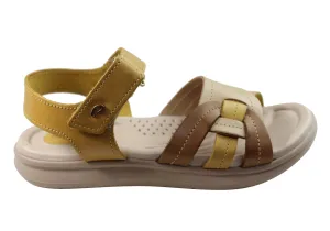 Pegada Vive Damen Bequeme Ledersandalen Hergestellt In Brasilien Pegada Schuhe